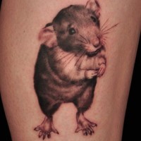 Lovely gray-ink rodent tattoo on shin