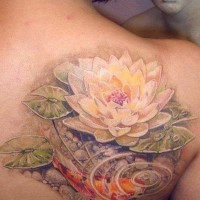 Lovely koi fish and lotus tattoo on shoulder blade