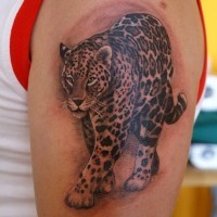 Lovely leopard tattoo on half sleeve by fpista