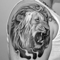 Tatuaje en el brazo, retrato impresionante de león que qruñe