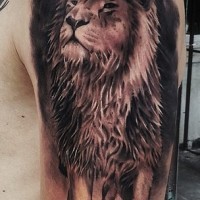 Tatuaje  de león orgulloso en el brazo