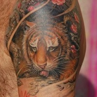 Tatuaje en el brazo, tigre descansa en el suelo