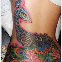 bellissimo pavone tatuaggio su parte bassa di schiena per ragazza