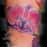 Lovely purple orchid tattoo by Liz Venom