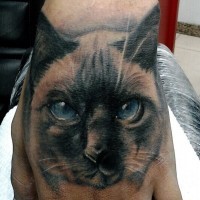 Tatuaggio simpatico sulla mano il gatto con gli occhi azzurri