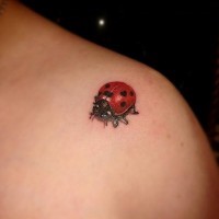 Schöner realistischer Marienkäfer Tattoo an der Schulter