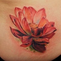 Lovely realistic red lotus tattoo