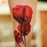 Lovely red poppies tattoo