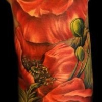 Schöne rote Mohnblumen Tattoo am Arm