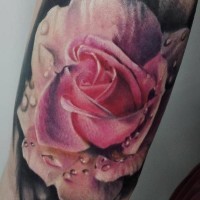 Tatuaggio realistico la rosa rosa con la rugiada