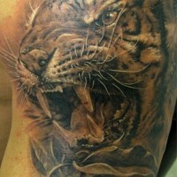 magnifico dettagliato e colorato tigre ruggente tatuaggio su braccio