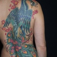 Magnificent illustrative style colored large whole back tattoo of peacock bird
