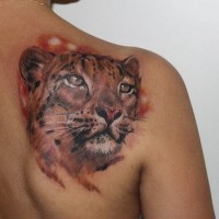 magnifico colorato testa di leopardo  ferma tatuaggio su spalla