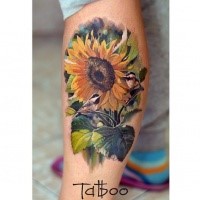 Magnificent multicolored lifelike sunflower and tiny birds tattoo on man's forearm in realism style