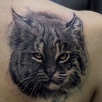 Prächtige und schwarze wilde Katze Tattoo an der Schulter