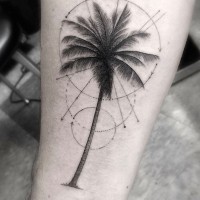 Magnificent painted big palm tree with circles tattoo on arm