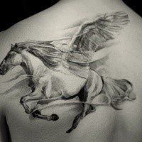 Magnificent splendid mysterious big size Pegasus tattoo on man's upper back with haze