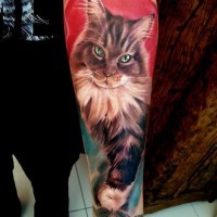 Tatuaje en el antebrazo, gato espectacular muy realista