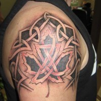 foglia di acero con nodo celtico tatuaggio su spalla