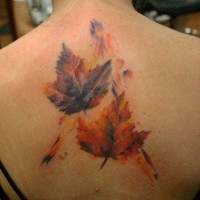 Maple leaves tattoo on upper back