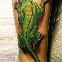 Erstaunliches farbiges Bein Tattoo mit der großen grünen Eidechse