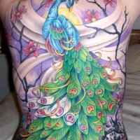 Marvelous illustrative style large whole back tattoo of peacock in dark blooming forest