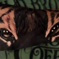 Tatuaje en el antebrazo, ojos de tigre impresionantes
