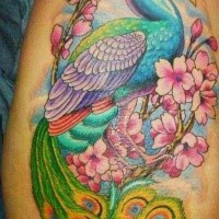 Marvelous very beautiful looking illustrative style colored side tattoo of peacock with blooming tree branch