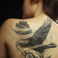 Tatuaje en el omóplato, cuervo volando  con atrapasueños en el pico