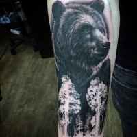 Tatuaje en el antebrazo,
oso pardo realista en el bosque