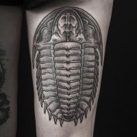 Massive black and white detailed prehistoric beetle tattoo on thigh