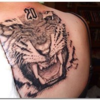 Massiver schwarzer und weißer sehr detaillierter brüllender Tiger Tattoo am Rücken mit kleinem Zahl