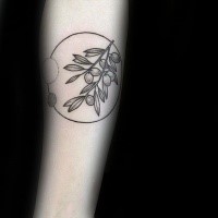 Medium size black ink forearm tattoo of olive branch