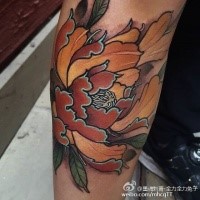 Medium size colored arm tattoo of beautiful flower