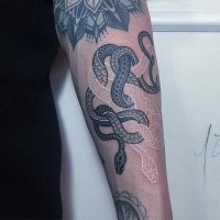 Medium size colored forearm tattoo of black and white ink snakes