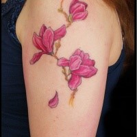 Medium size colored shoulder tattoo of pink flowers
