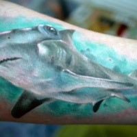 Medium size incredible looking colored shark tattoo on arm