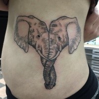 Medium size stippling style elephant couple tattoo on side