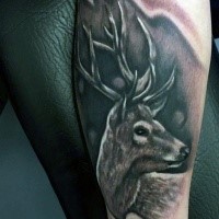 Medium sized black and gray style forearm tattoo of deer