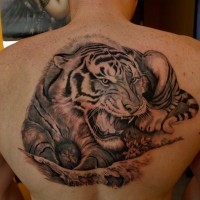 Menacing tiger lying tattoo on back by fpista