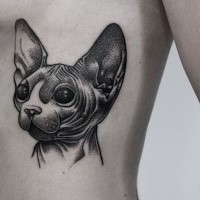 Modern dot style side tattoo of sphinx cat with black eyes