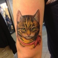 Modern style colored arm of nice cat with pink ribbon