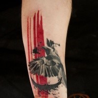 Modern style colored arm tattoo of flying bird with red lines