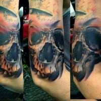 Modern style colored arm tattoo of human skull part