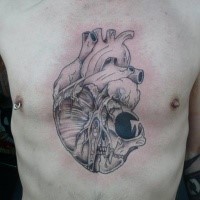 Modern style colored chest tattoo of human heart combined with animal skull