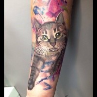 Modern style colored for girls tattoo of cat portrait with flowers
