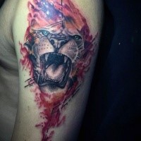 Modern style colored shoulder tattoo of roaring lion with flames