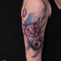 Modern style colored shoulder tattoo of nice cat with skull silhouette