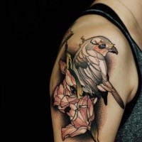 Modern style colored shoulder tattoo of big eagle with flower