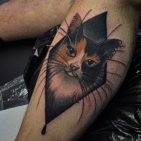 Modern style colored tattoo of cat portrait stylized with geometrical figure